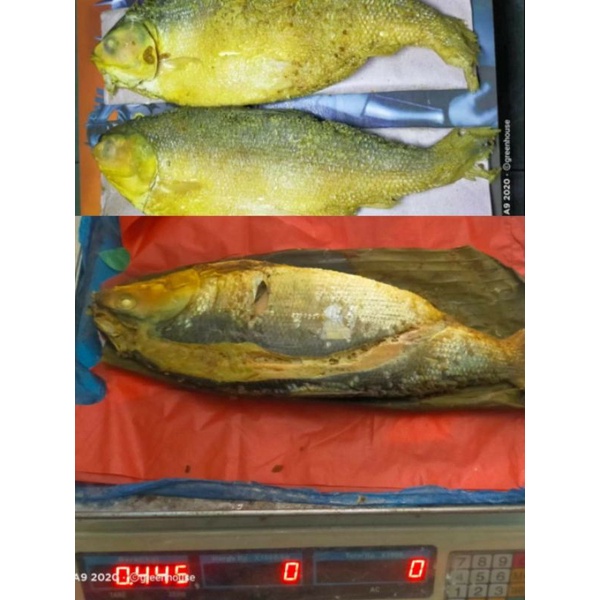 

BANDENG PRESTO KHAS SEMARANG