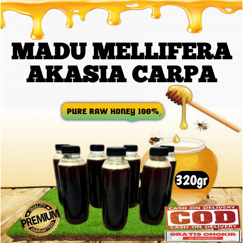 

Madu asli madu murni madu hutan apis melifera akasia carpa 320gr