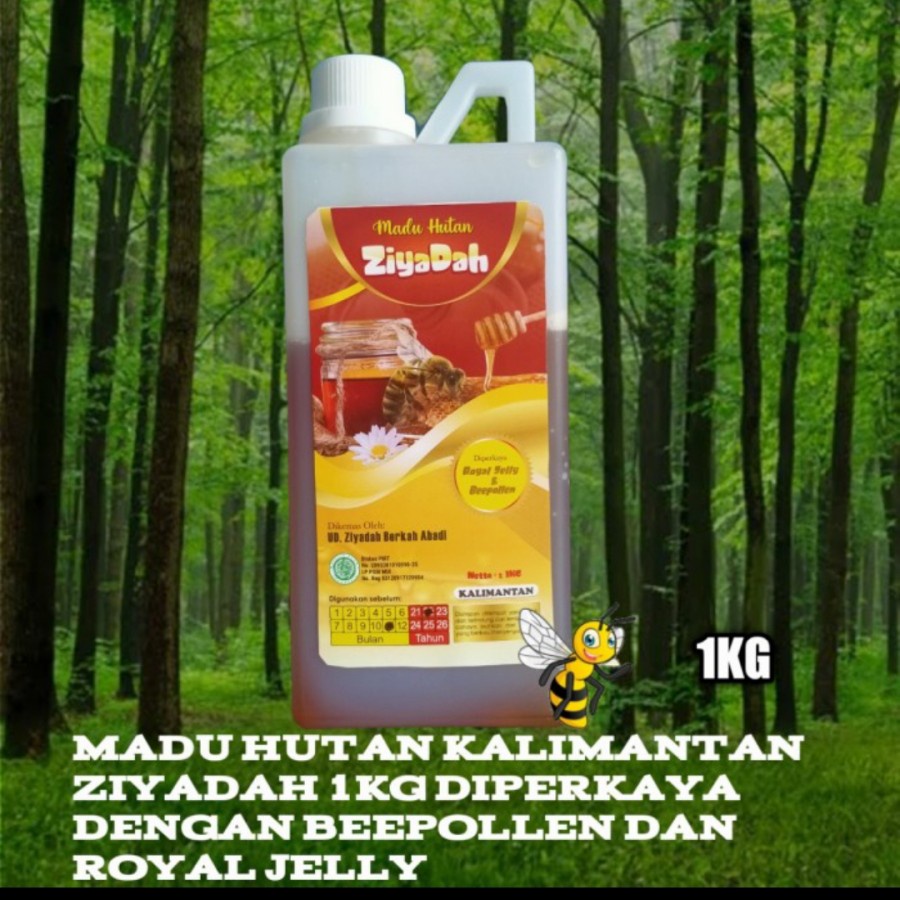 

madu hutan kalimantan ziyadah 1kg original