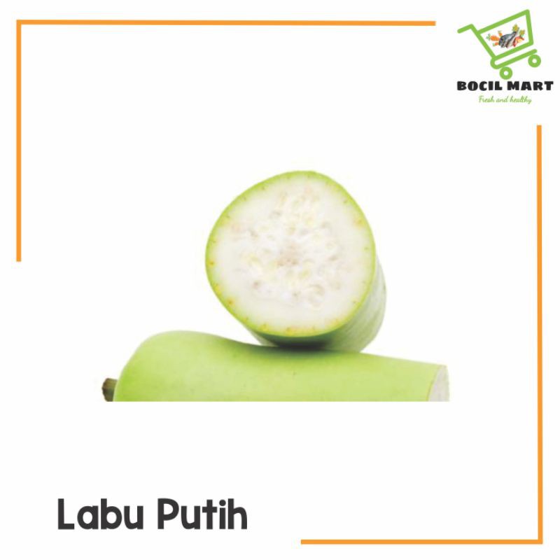 

[BOCIL MART] LABU PUTIH / KENTI / WALUH PUTIH