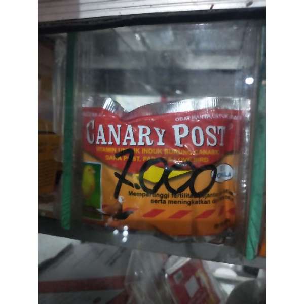 KENARI POST CANARY POS UNTUK BURUNG BERTELUR