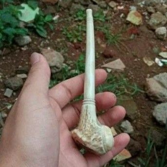 PIPA CANGKLONG TANDUK RUSA