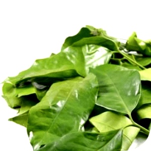 

Daun Melinjo 100 g