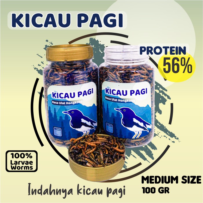 Pakan Makanan Burung Kicau Pagi Ulat Ulet Hongkong Kering Kacer Murai Anis Cucak Jalak IKANESIA