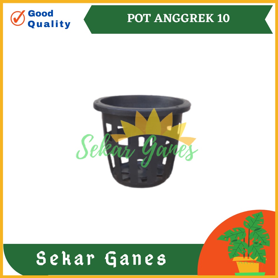 LUSINAN Pot Anggrek  Orchid 10 Hitam Isi 12 Pcs TERMURAH GROSIR Pot Anggrek 10 Lusinan Hitam Murah