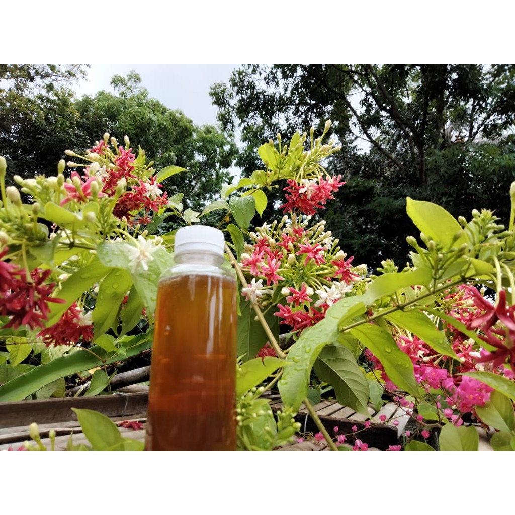 

MADU LEBAH DIJAMIN ASLI MURAH LANGSUNG DARI PETANI LEBAH