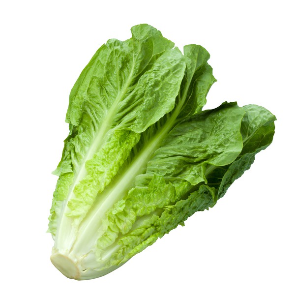 

HarvestMoon Romaine @500gr