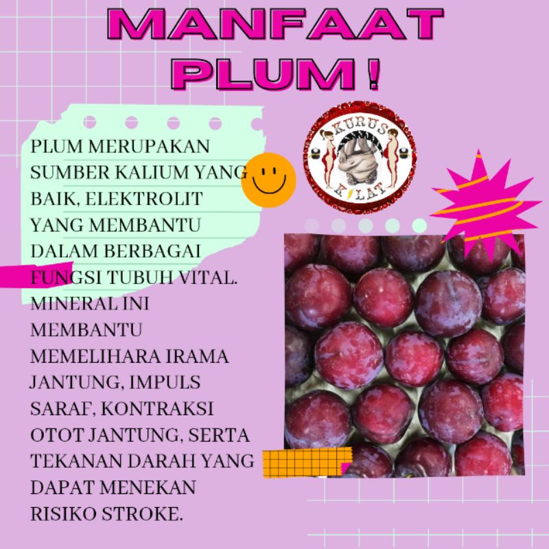 KURUS KILAT DRIED PLUM Pelangsing Diet Detox Penurun Berat Badan Perut Buncit Ampuh