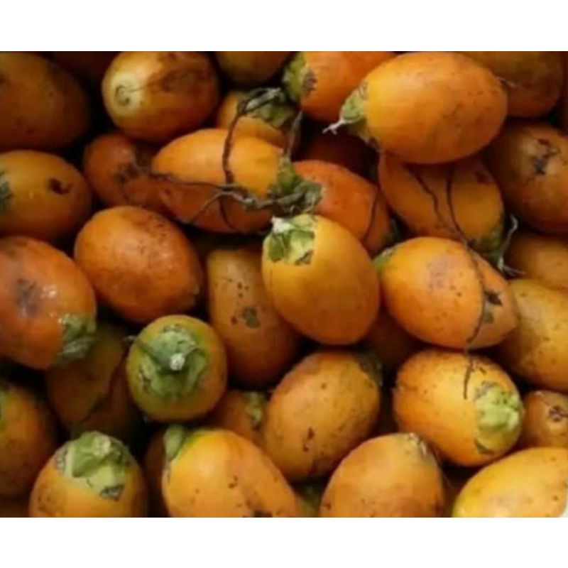 buah pinang tua