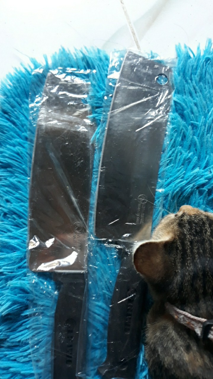 Pisau Daging Kiwi 816 (e)
