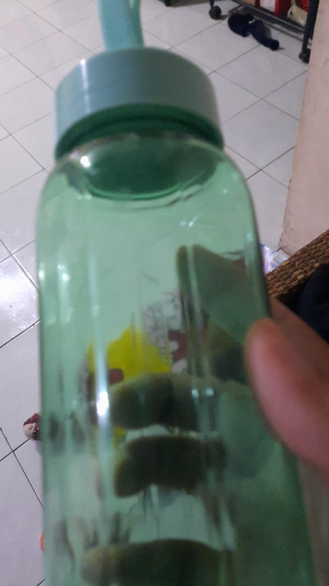 (abs) Botol Minum Infuser Gampang Dibawa Bpa Free 400ml