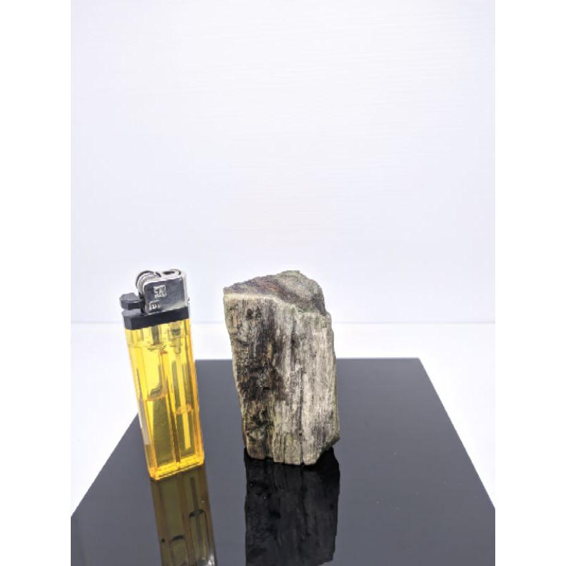 Bahan Batu Rough Fosil Galih Kelor Asli Super