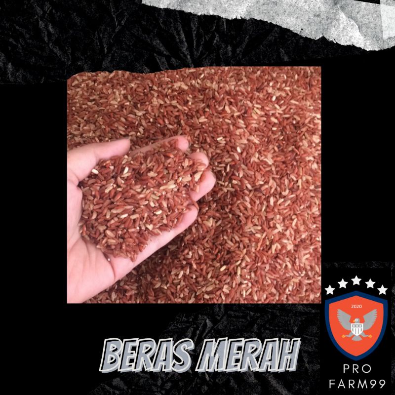 

Beras Merah Konsumsi Diet Beras Merah Murah 1Kg