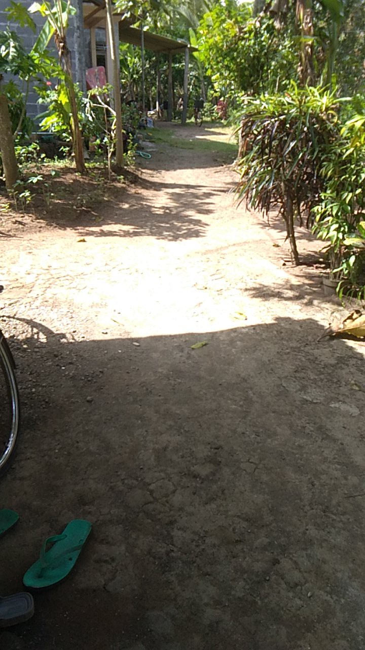 Sarung Batik (anak) Smp | Sarung Batik Putri | Sarung Batik Anak