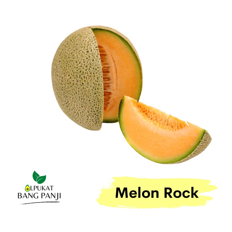 

ALPUKAT BANG PANJI - Melon Rock Orange