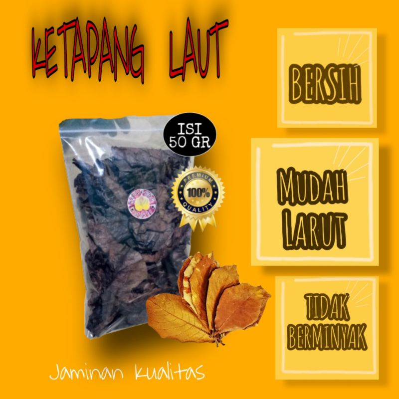 DAUN KETAPANG LAUT OLAHAN SUPER REEPACK 50 GRAM