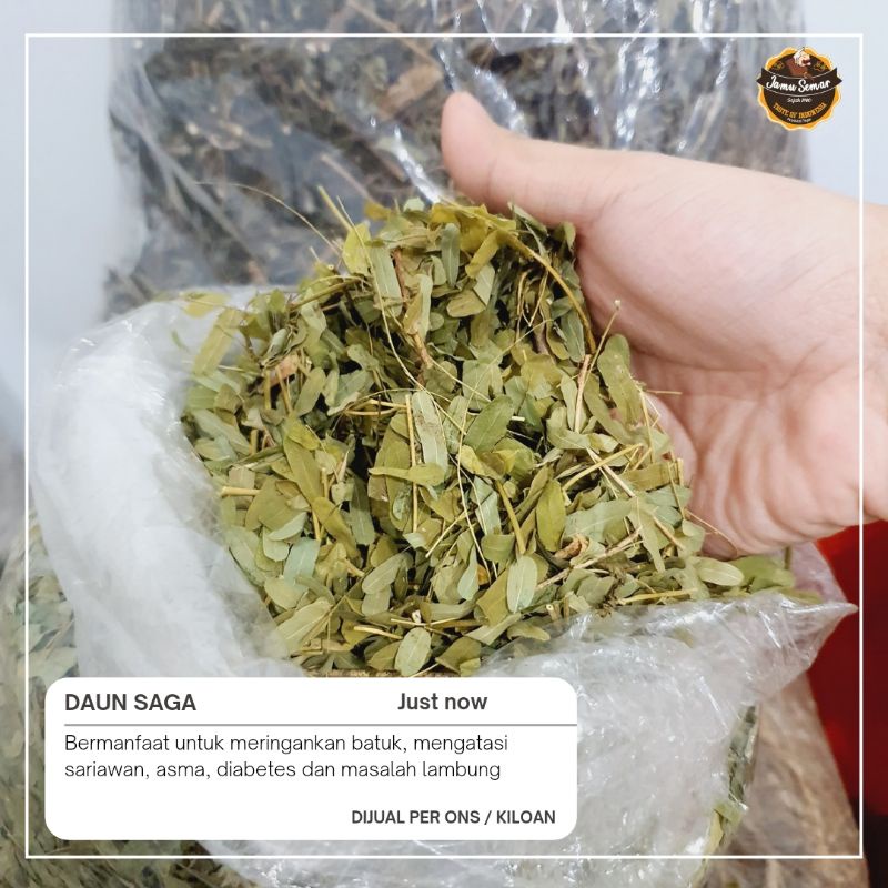 

Daun Saga 100gr