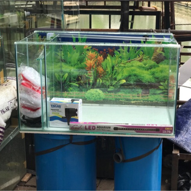 Moet Wreed beven Jual Aquarium kaca filter samping 70x40x40cm full set | Shopee Indonesia
