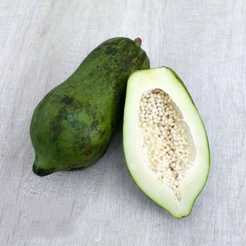 

Pepaya Muda 500gr