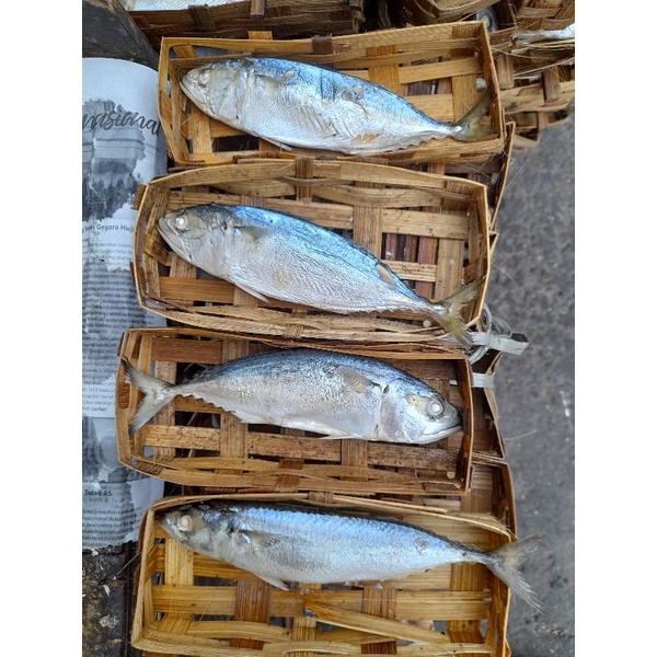 

ikan cue keranjang isi 1 atau 2 pcs