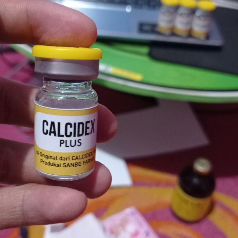 Calcidex Plus Repack 5ml Obat Lumpuh Hewan Obat Kekurangan Kalsium Injeksi