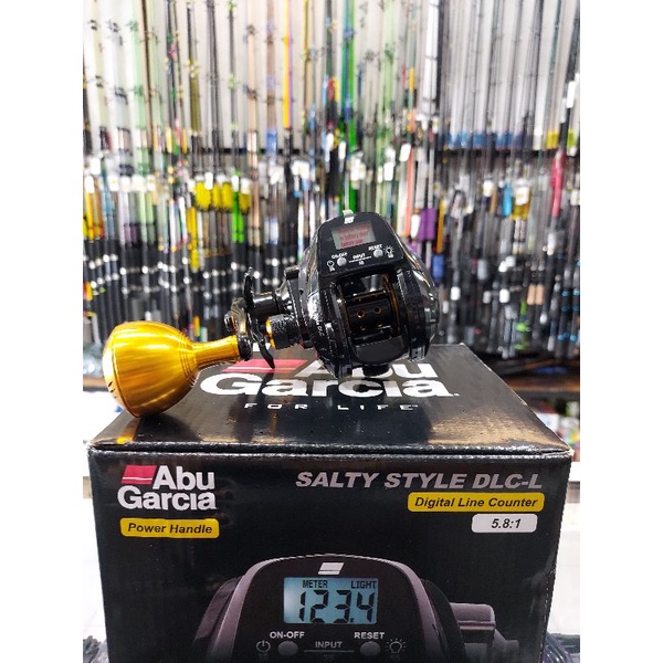 Reel Overhead Abu garcia salty style DLC-L