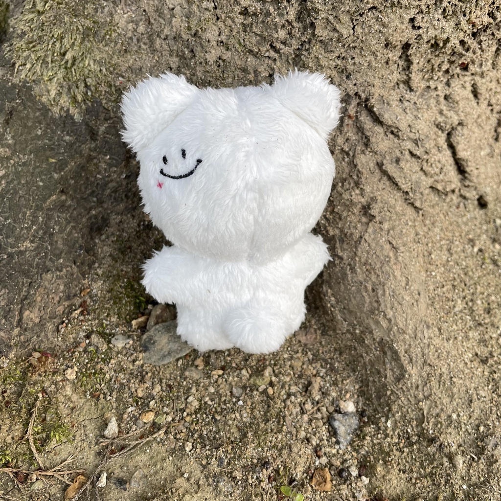 BACA DESKRIPSI NCT JISUNG BAEG DOLL