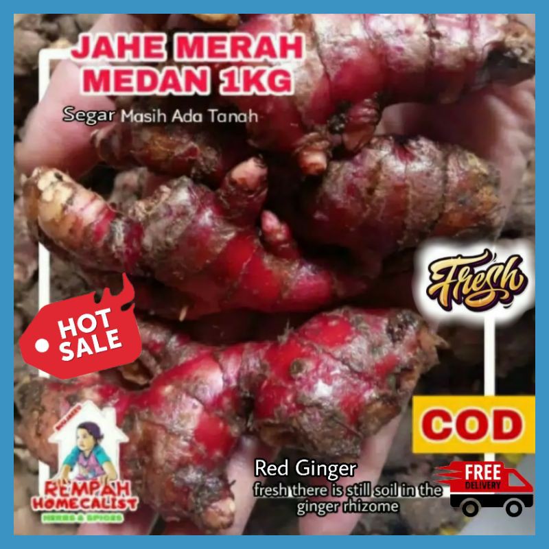 Jahe Merah Medan 1kg Jahe Merah Segar Jahe Merah 1kg Masih Ada Sisa Tanah Rempah Herbal Wedang Jahe Segar