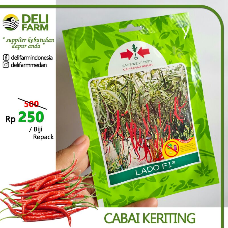 Jual Aneka Bibit Cabai Cabe (repack) | Shopee Indonesia