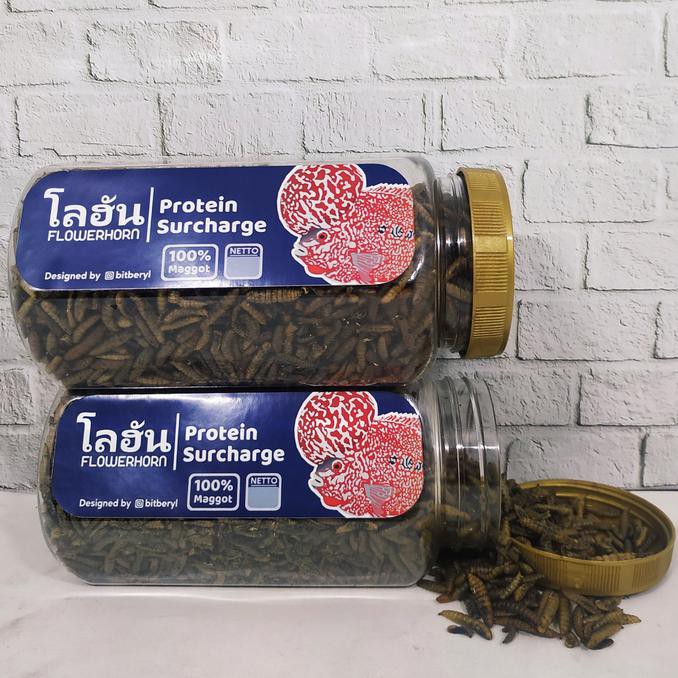 NEW PRODUK PAKAN PELET MAKANAN IKAN LOUHAN MAGGOT BSF 88 GR PERTUMBUHAN IKANESIA