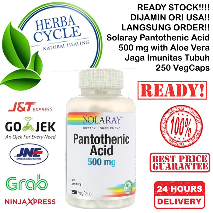 Solaray Pantothenic Acid 500mg 250 Veg Caps Lancarkan Metabolisme Tubuh Jaga Kesehatan Imunitas