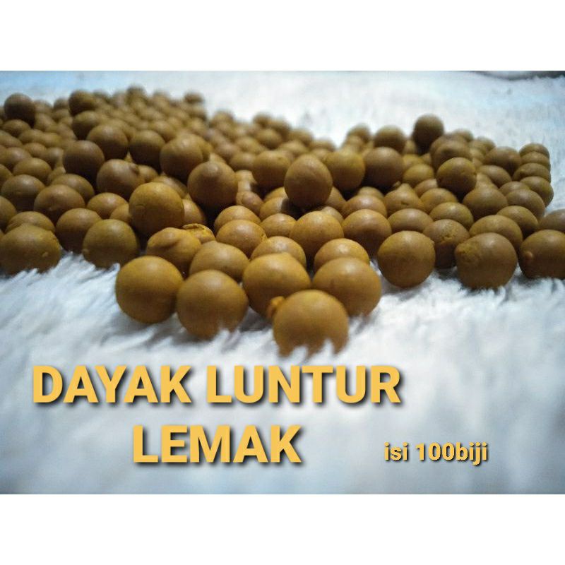 

Dayak Peluntur Lemak ASLI KALTIM