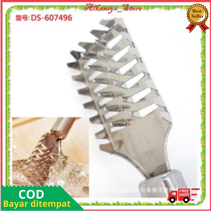 Alat Pengupas Sisik Ikan Pembersih Sisik Ikan Pembersih Sisik Ikan Stainless Steel Alat Sisik Ikan S