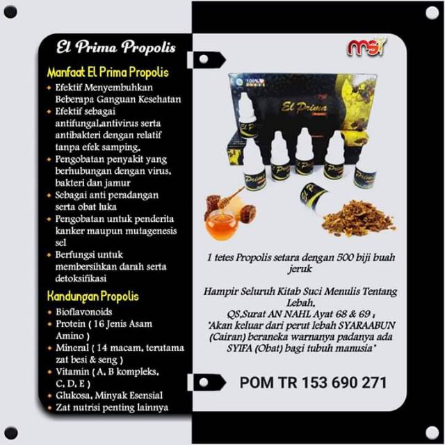 El Propolis Original MSI