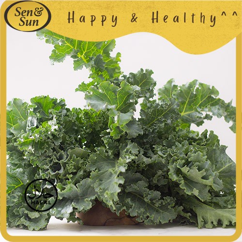 

Sen&Sun Curly Kale Hydroponic 1 kg