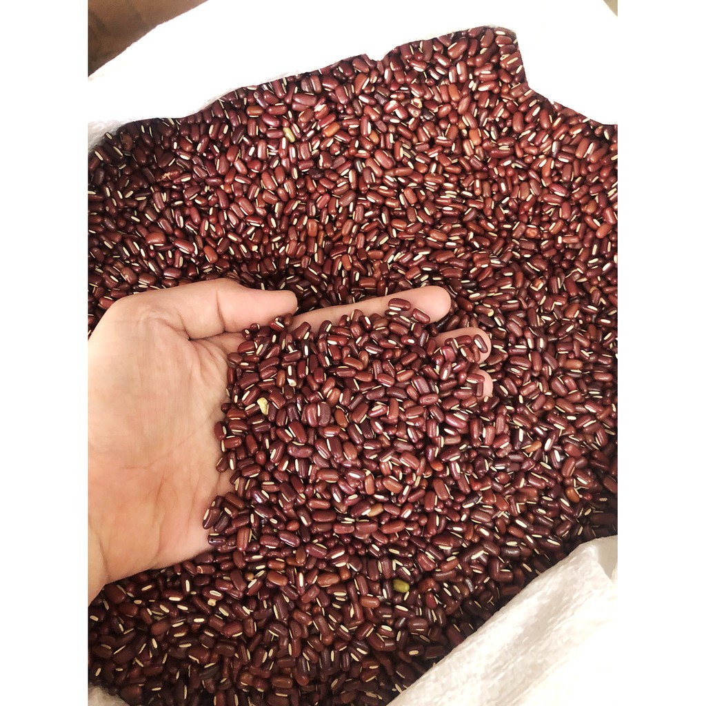 

Kacang Merah Kecil Super / Kacang Es Super Import 1 kilo