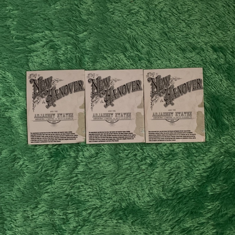 Map RDR Maps Red Dead Redemption II 2