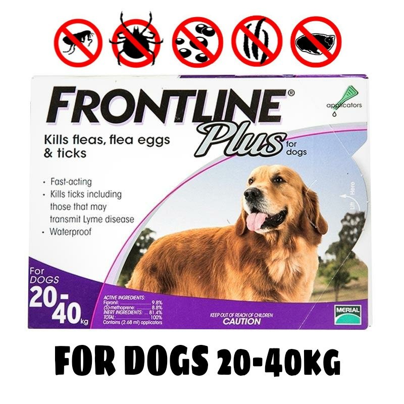 Frontline Plus Dog 20-40 kg Obat Kutu Anjing Besar Size L Large Dogs