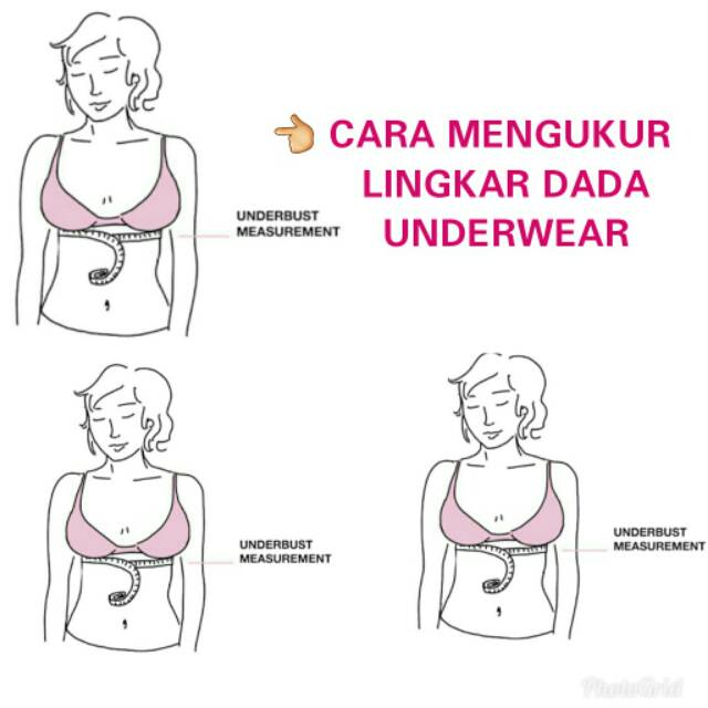 TERLARIS Sport Bra Viorano Hanna / Bra Tanpa Kawat 34 36 Bh Wanita Murah Busa Tipis Tanpa Kawat Bra Cewek Kutang Ibu Pakaian Dalam Wanita