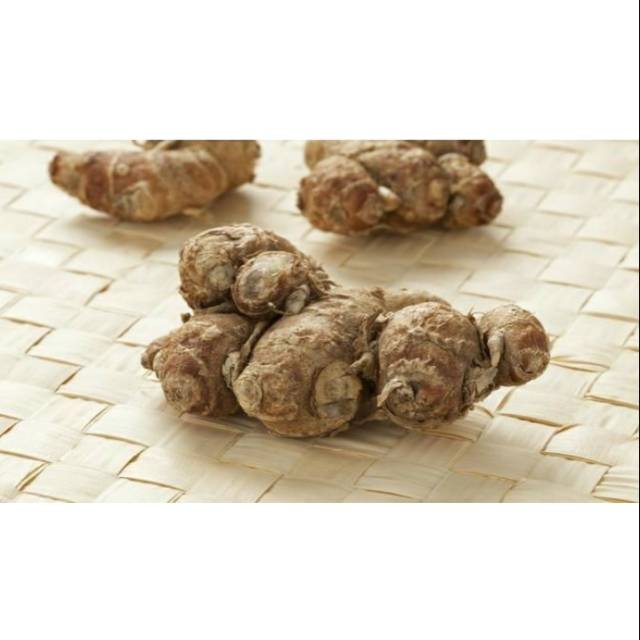 

Kencur Bumbu Rempah 100 gram