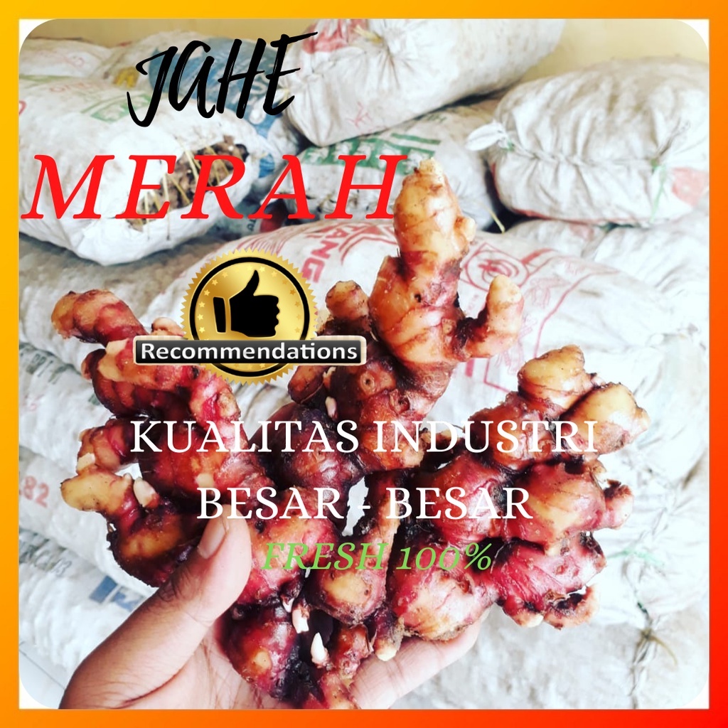 

JAHE MERAH SUPER SEGAR & ASLI TUA BESAR - BESAR