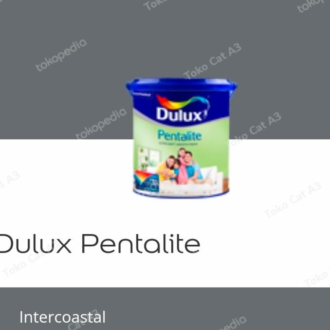 Dulux Pentalite 2,5liter
