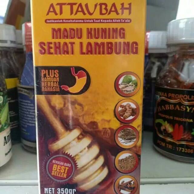 

MADU KUNING SEHAT LAMBUNG