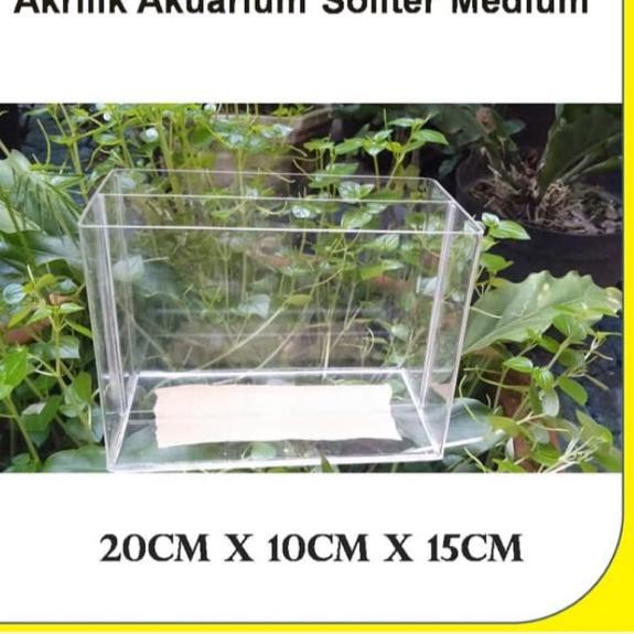Bagus Akrilik Akuarium Soliter Medium. .. . ..