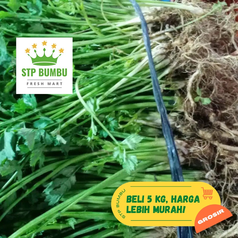 Daun Seledri Fresh 1kg / Sayur Sledri Segar