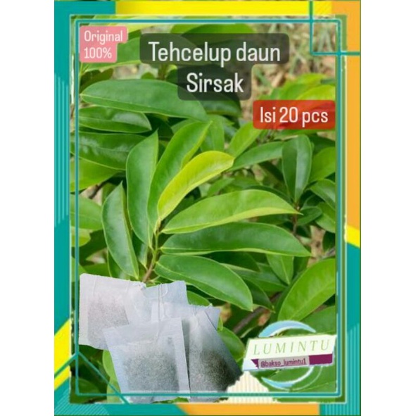 

Teh celup daun sirsak original isi 20 pcs , daun sirsak , teh celup , daun sirsat/daun sirsak , daun teh , teh herbal , daun sirsak segar , teh alami , jamu , obat , apotek , kayu , akar , bunga , biji , bibit , benih , bunga , buah , tanaman , bajakah