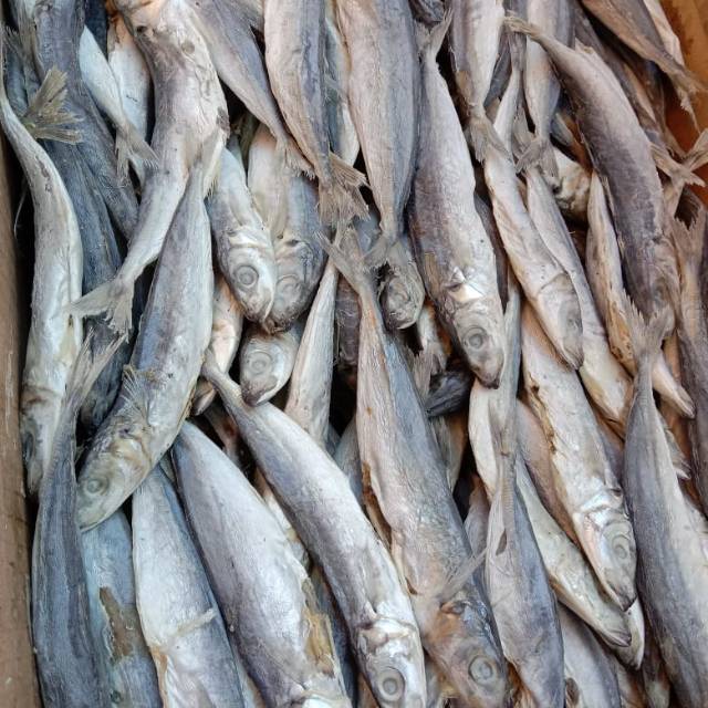 

Ikan Asin Layang kemasan 1000gr