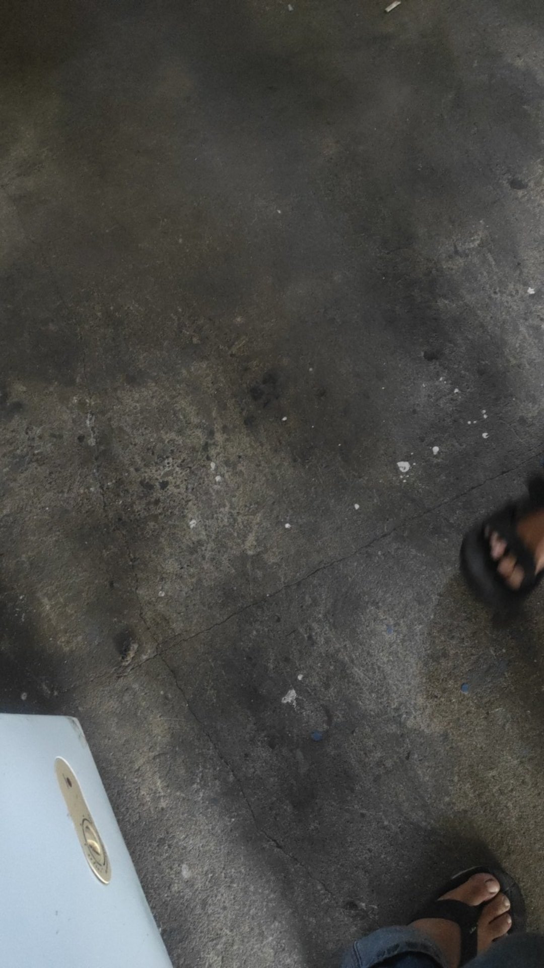 Gorden Murah Meriah Smokring 12 Lubang - Greenfloral