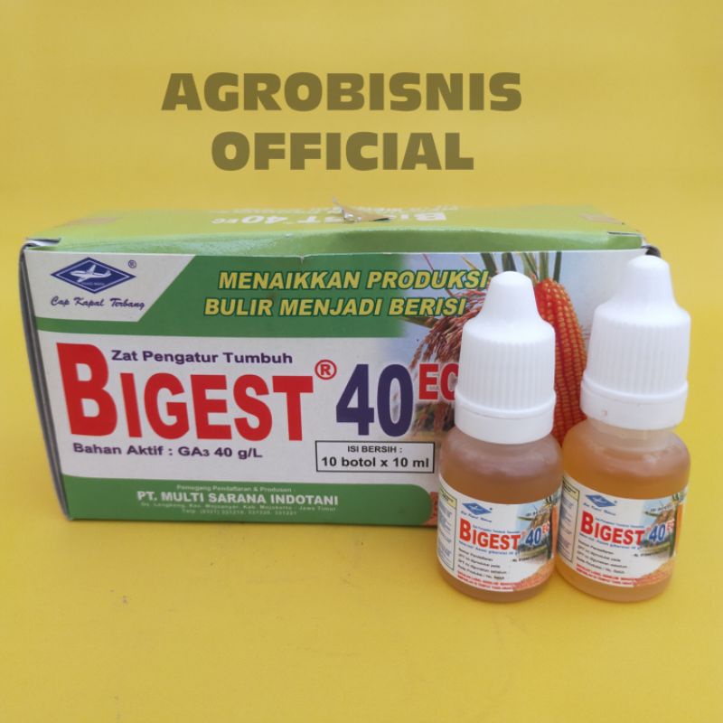 BIGEST 40EC 10 ML ZPT