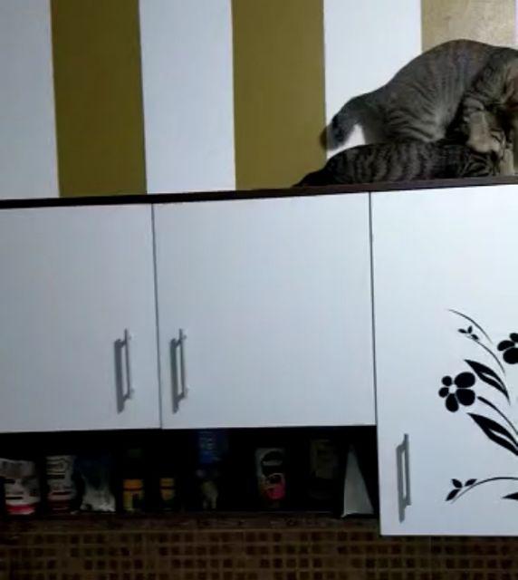 Kitchen Set Atas 3 Pintu Kc Wu 120 Free Ongkir Dan Instalasi